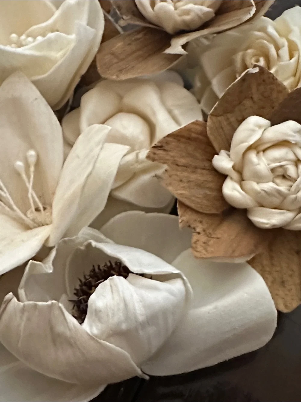 Wood Sola Flowers - unique 10 for weddings crafts SECONDS IMPERFECT READ DESCRIP